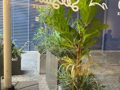 -Seesaw Coffee(深圳深业上城店)