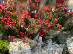 -循礼门鲜花花市(武汉循礼门店)