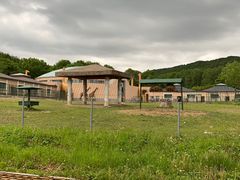 -哈尔滨北方森林动物园