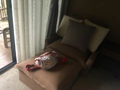 -看见远方·莫干遥远的山民宿