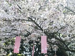 -杭州少年儿童公园