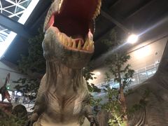 -湖南省地质博物馆