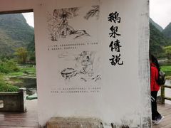 -靖西鹅泉风景区