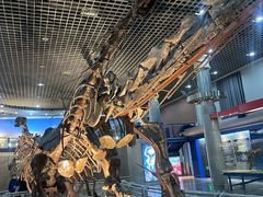 -国家自然博物馆