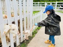 -前小桔亲子创意农场·草莓采摘·露营烧烤