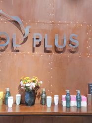 -IDOL-PLUS