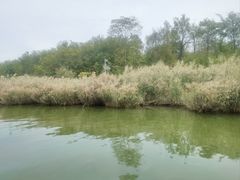 -卤阳湖国家湿地公园