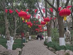 -瀛洲公园