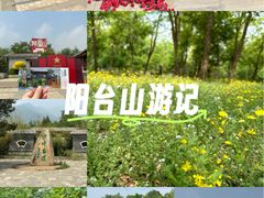 -阳台山自然风景区