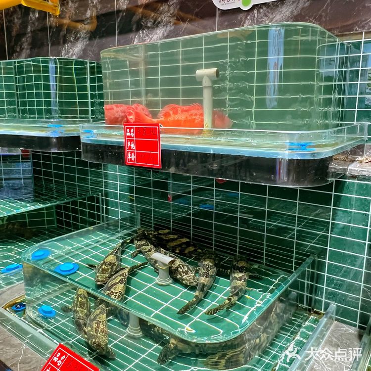 鸽子张家宴绝了！方庄宴请天花板，脆皮乳鸽封神