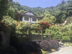 -十八棵（老龙井）御茶园(老龙井店)