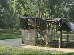 -张坝桂圆林公园