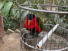 -南宫五洲植物乐园