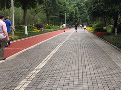 -龙头寺公园