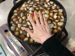 -顺德哥卜卜贝(旗舰店)