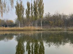 -大兴滨河森林公园