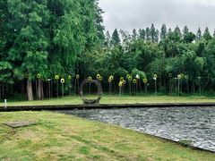 -同里国家湿地公园