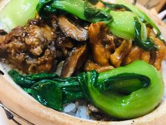 香菇滑鸡煲-粤秀小厨·广式早茶(辽宁路店)