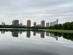 -莲花池公园