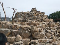 -太原动物园