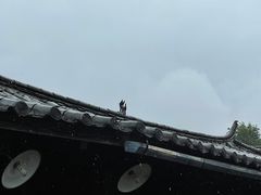 -田德能咖啡博物馆