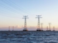 -宝安西湾红树林湿地公园