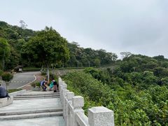 -火炉山森林公园