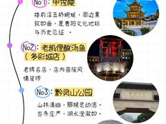 -老凯俚酸汤鱼(多彩城店)