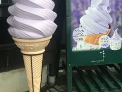 -富田农场