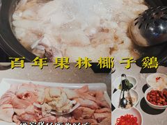 -百年果林椰子鸡(益田假日里店)