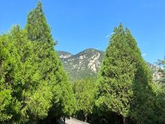 -禅宗少林·音乐大典