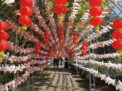 -宝岩生态观光园