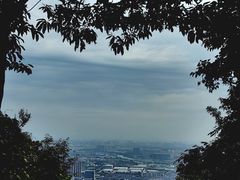 -惠山国家森林公园