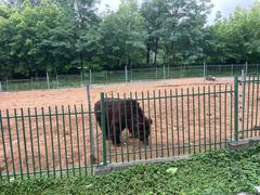 -秦皇岛野生动物园