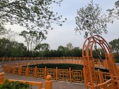-太阳宫公园