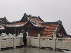 -铁山坪森林公园