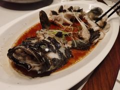 -老绍兴养和饭店(向阳不夜城店)