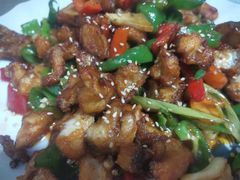 -煲来饱去冷水鱼