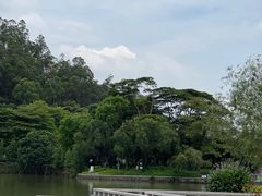 -顺峰山公园