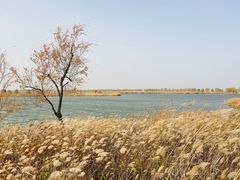 -野鸭湖国家湿地公园