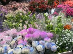 -循礼门鲜花花市(武汉循礼门店)