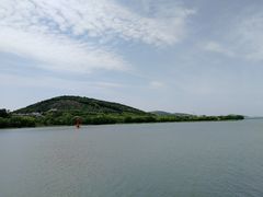 -长广溪湿地公园