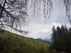 -硗碛藏寨·神木垒景区