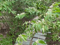 -天津东丽湖风景区