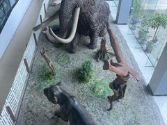 -中国第四纪冰川遗迹陈列馆