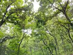 -棒棰岛宾馆景区