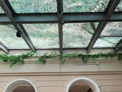 -香蜜轩·粤菜·宴会(世界之窗店)