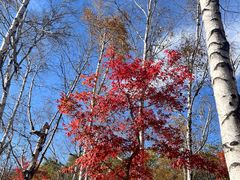 -长春市南湖公园