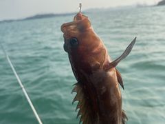 -鑫艋游艇海钓俱乐部