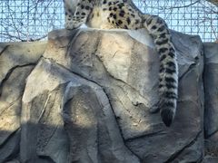-青藏高原野生动物园